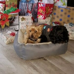 Meet your Posher, Christy